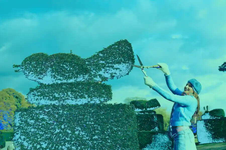 Bush Trimming and Cage Bushes in Hesperia, CA 92345