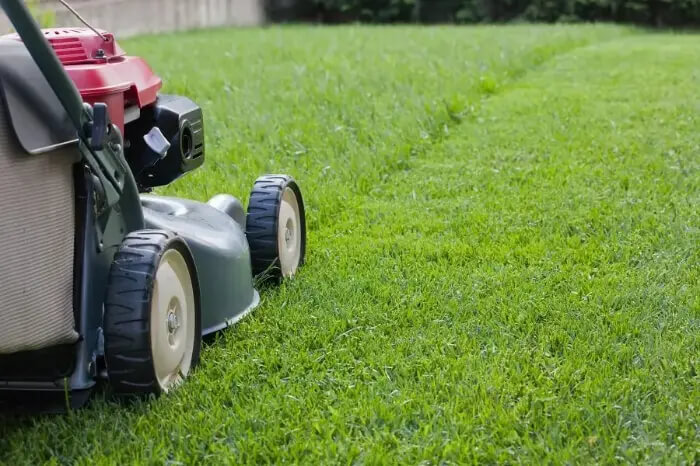 Detailed Lawn Care Services in Hesperia, CA 92345 Detailed Lawn Care Services in Hesperia, CA 92345
