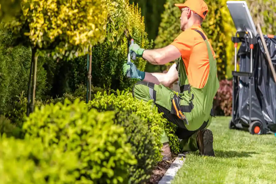 Landscaping Services in Hesperia, CA 92345