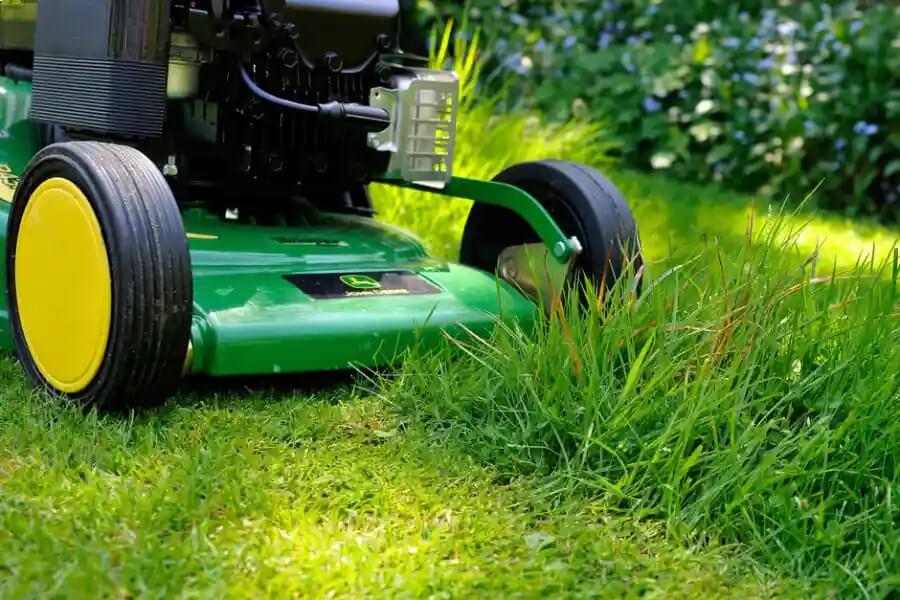 Lawn Care and Maintenance in Hesperia, CA 92345