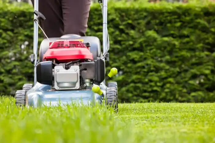 What Is Lawn Care in Hesperia, CA 92345 What Is Lawn Care in Hesperia, CA 92345